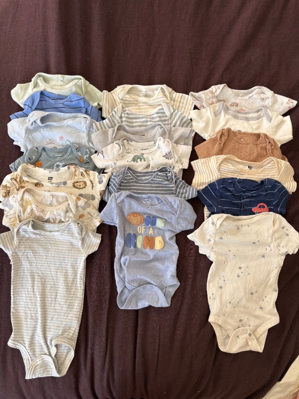 6-9 Month Baby Onesie Bundle (19 onesies)
